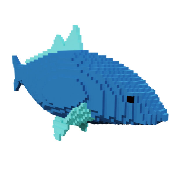 Carp voxel fish