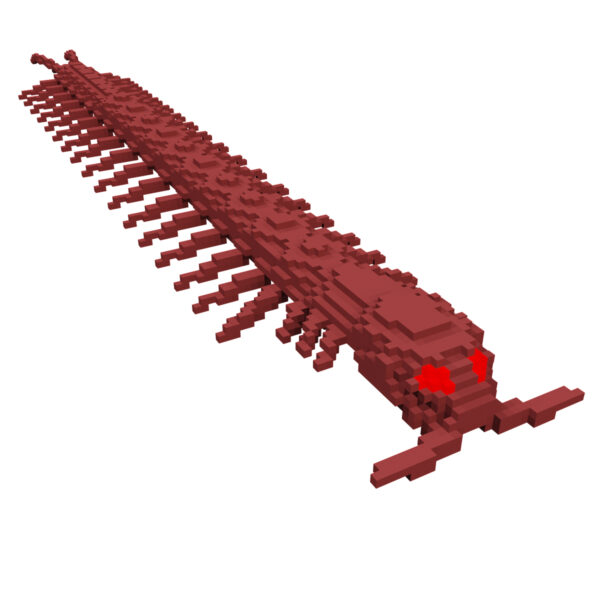 Centipede voxel 3d model