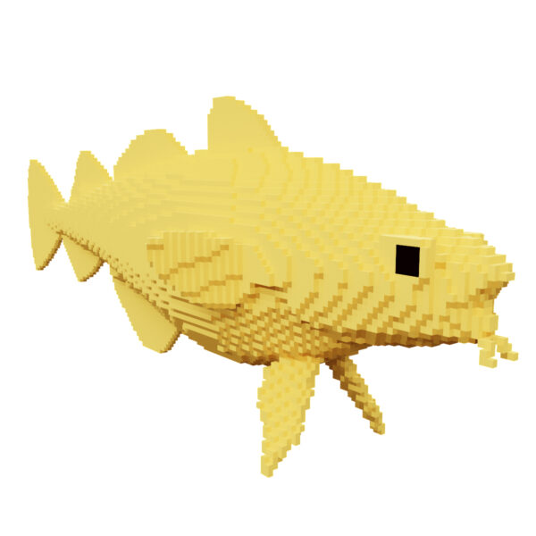 Cod fish voxel 3d model