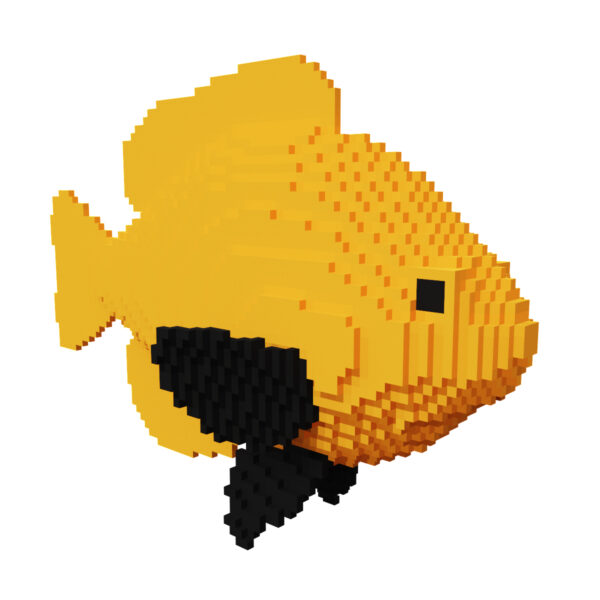 Common bream voxel fish