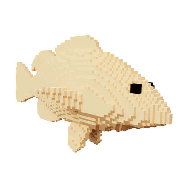 Common carp fish voxel 3d model