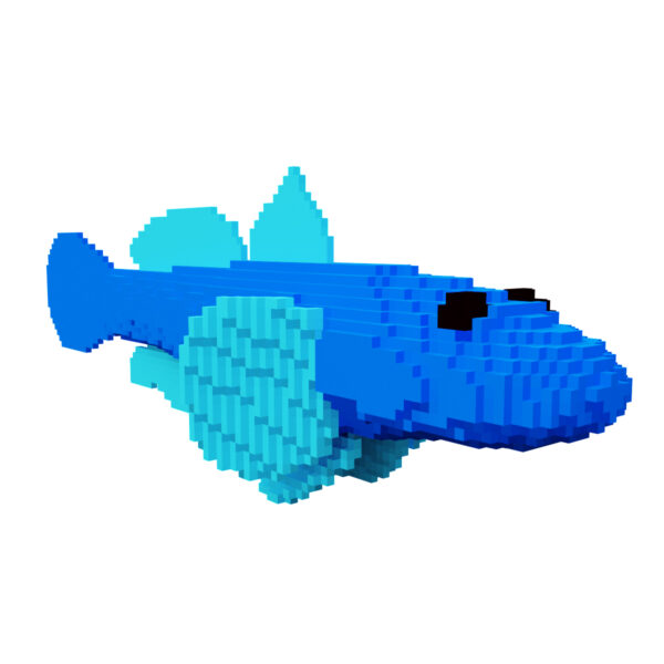 Dragon goby fish voxel 3d model