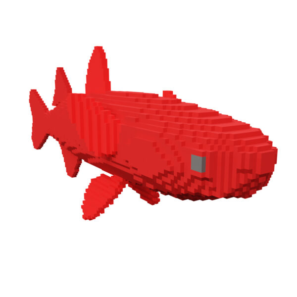 Grass Carp fish voxel 3d