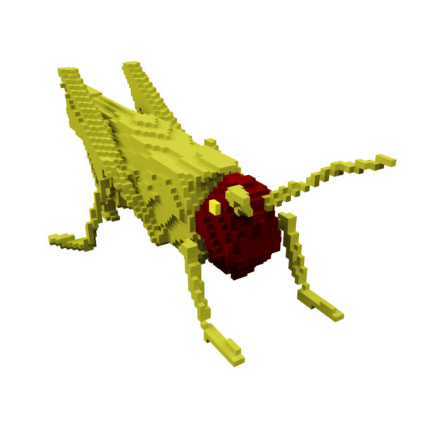 Voxel grasshopper