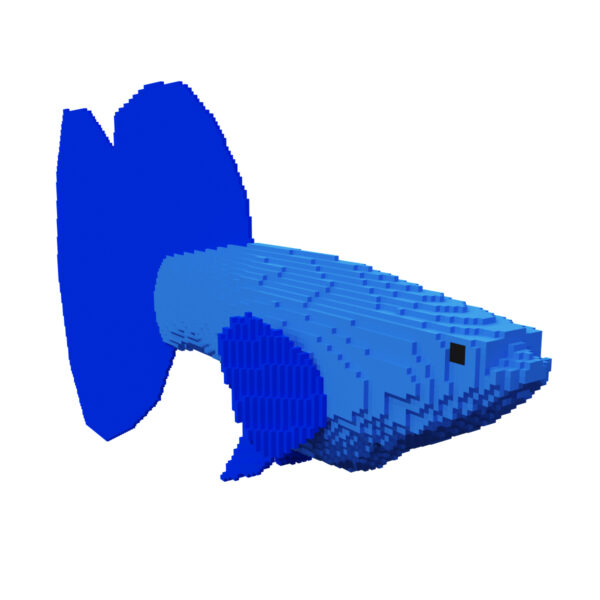 Guppy Fish voxel 3d model