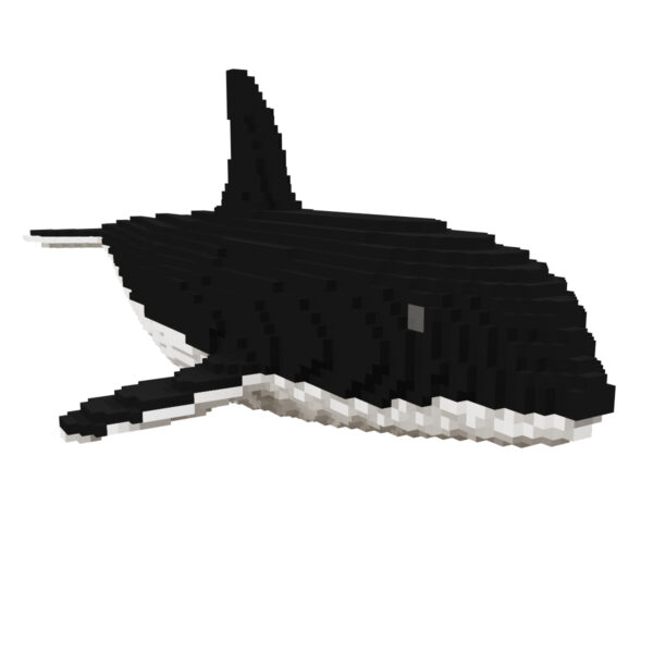 Killer Whale voxel fish