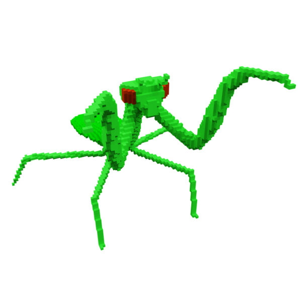 Mantis voxel 3d model