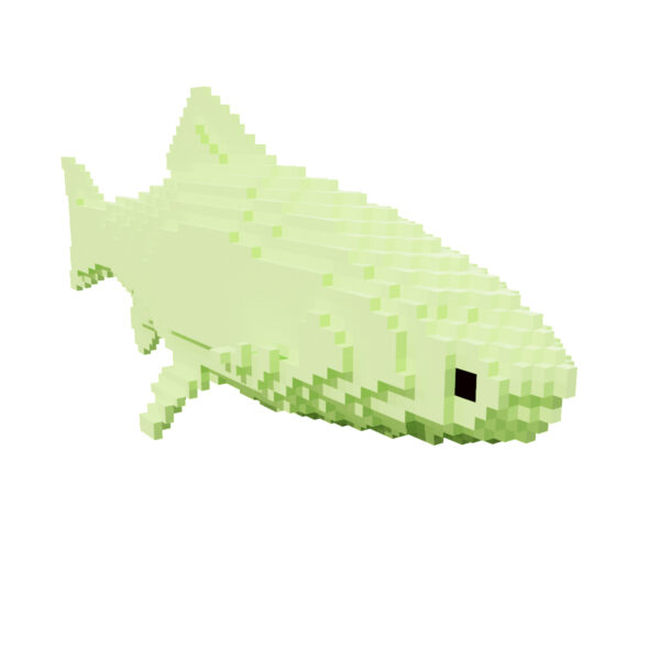 Rainbow Trout voxel fish