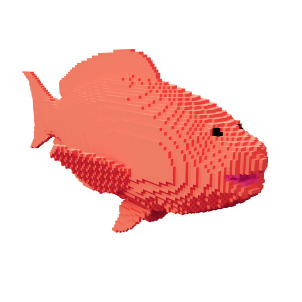 Red Drum fish voxel 3d model