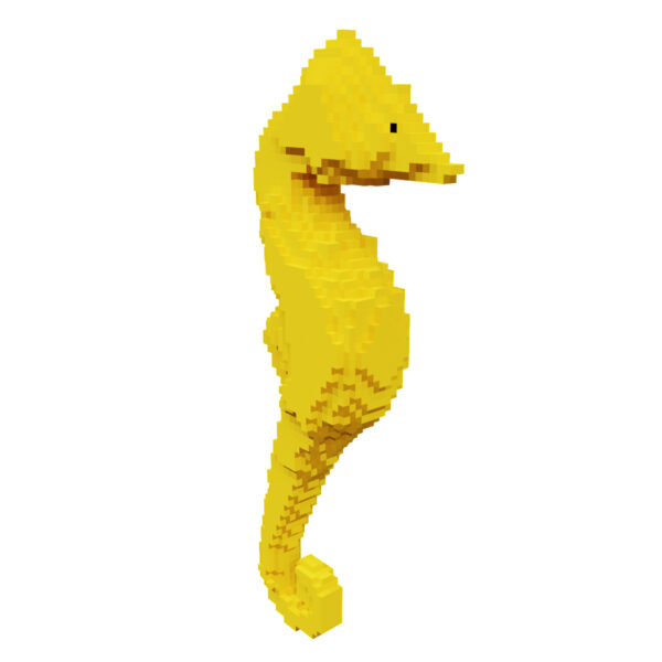 Seahorse voxel 3d model