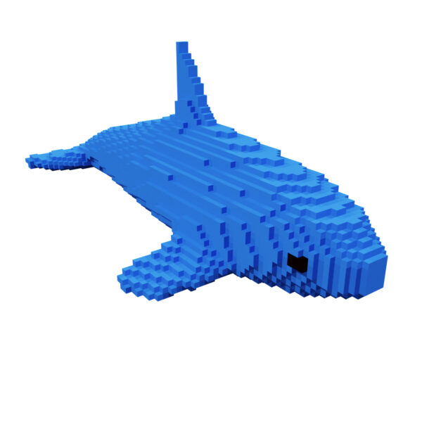 Whale voxel fish