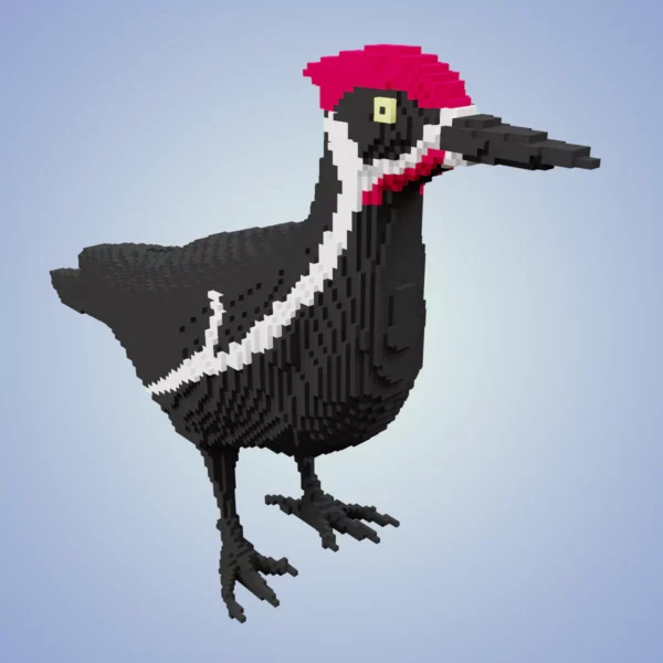 Woodpecker voxel 3d model