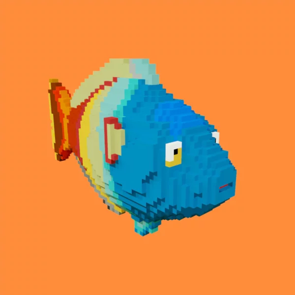 Boeseman rainbowfish voxel 3d model