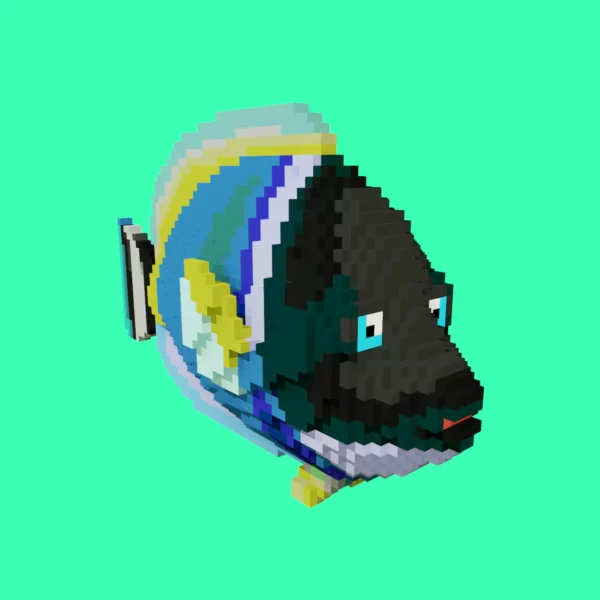 Blue tang voxel fish 3d model