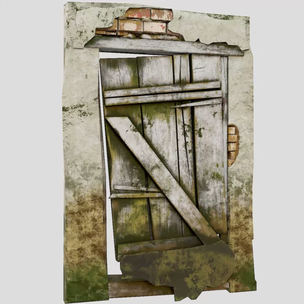 Grungy old door 3d model